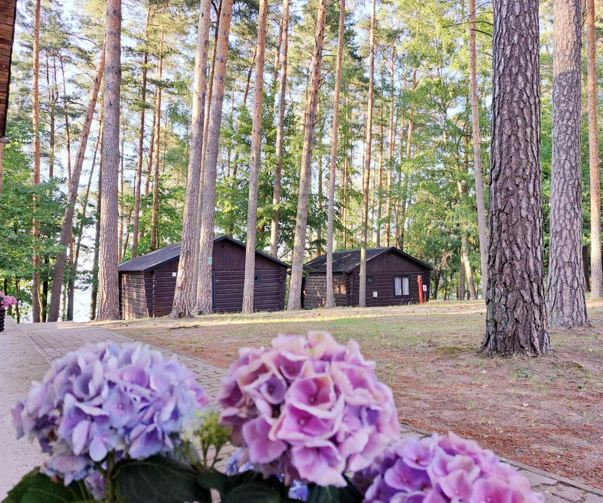 Hotel Sus Mazuria Rybitwy  Zewnętrze zdjęcie